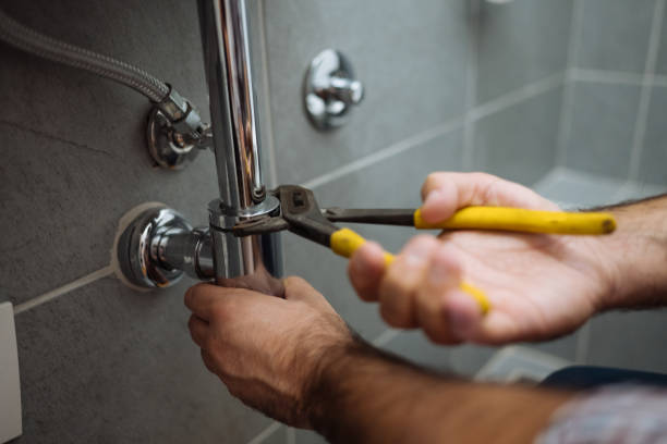 Best Clogged Drain Plumber  in Roberta, GA